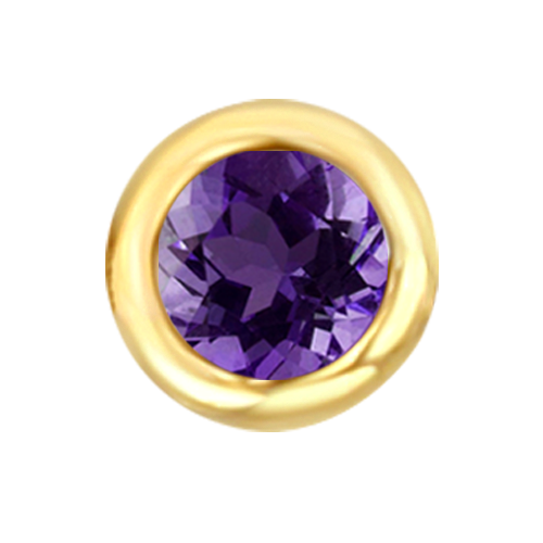 Yellow Gold Floating Amethyst - February