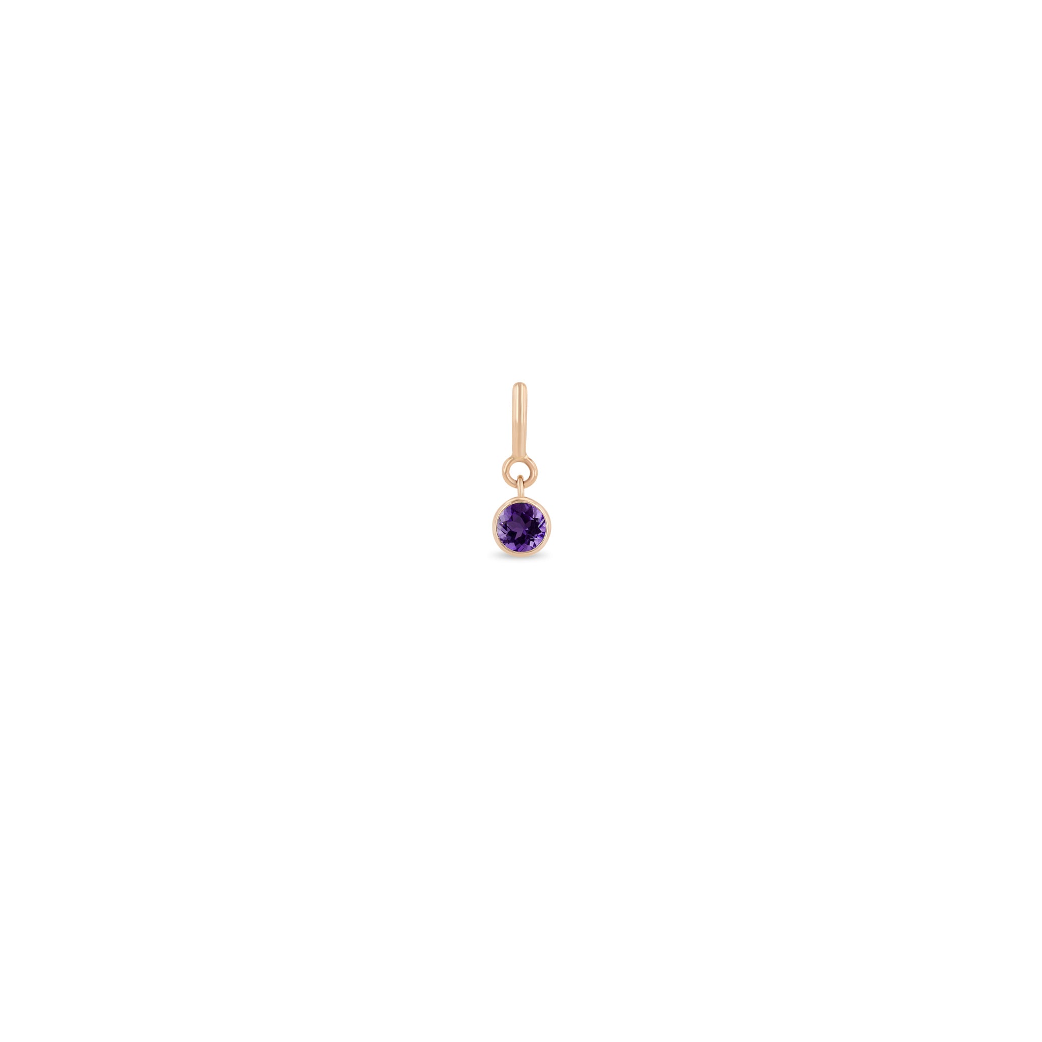 Zoë Chicco 14k Gold Amethyst Spring Ring Charm Pendant