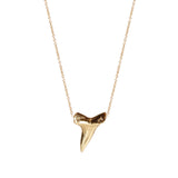 14k Shark Tooth Necklace
