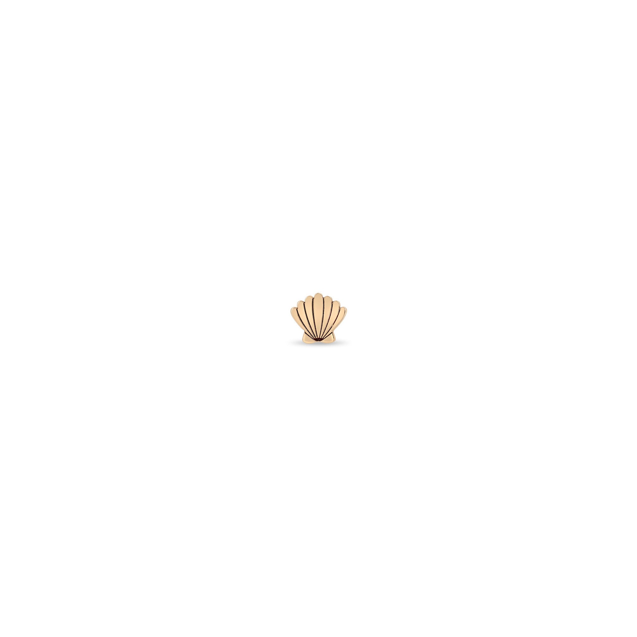 Zoë Chicco 14k Gold Itty Bitty Seashell Stud Earring