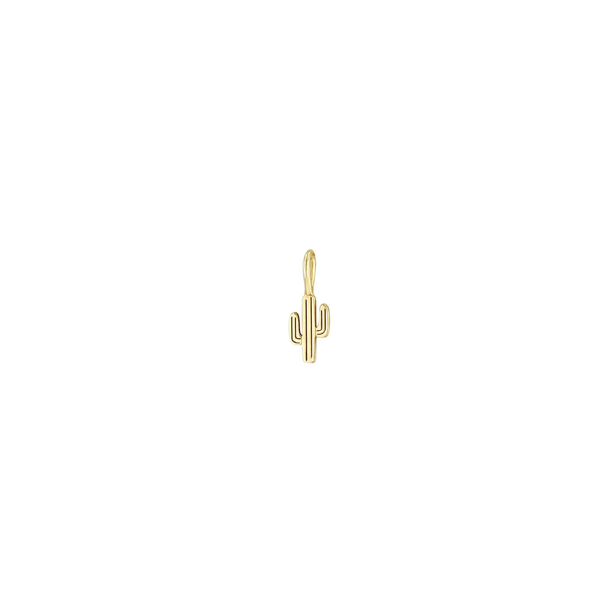 Zoë Chicco 14k Gold Midi Bitty Cactus Charm Pendant