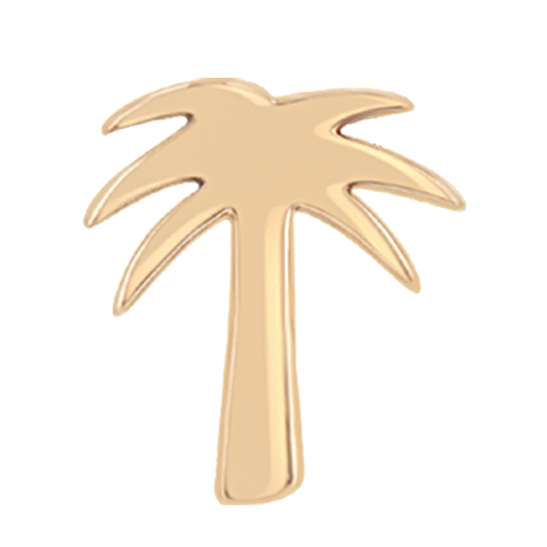 Itty Bitty Palm Tree