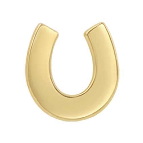 Itty Bitty Horseshoe