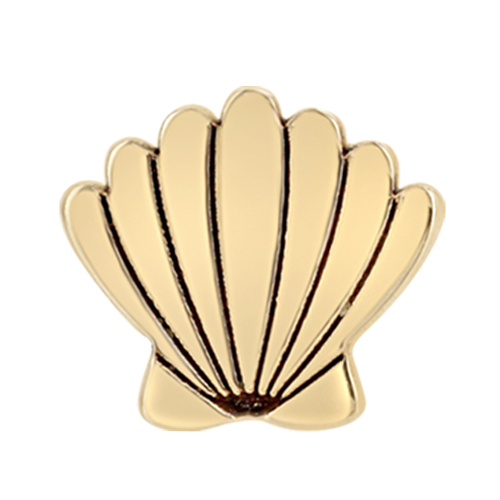 Zoë Chicco 14k Yellow Gold Itty Bitty Seashell