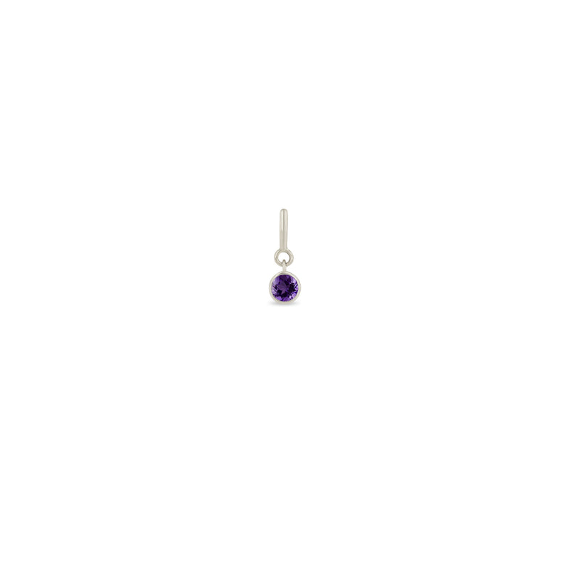 Zoë Chicco 14k Gold Amethyst Spring Ring Charm Pendant
