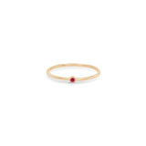 Zoë Chicco 14k Gold Tiny Ruby Bezel Ring