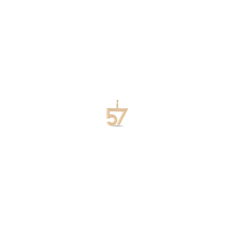 Zoë Chicco 14k Gold Custom Number "57" Charm Pendant