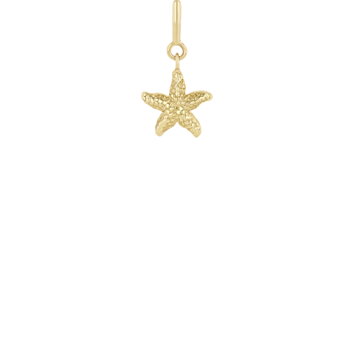 Zoë Chicco 14k Gold Starfish Spring Ring Charm Pendant