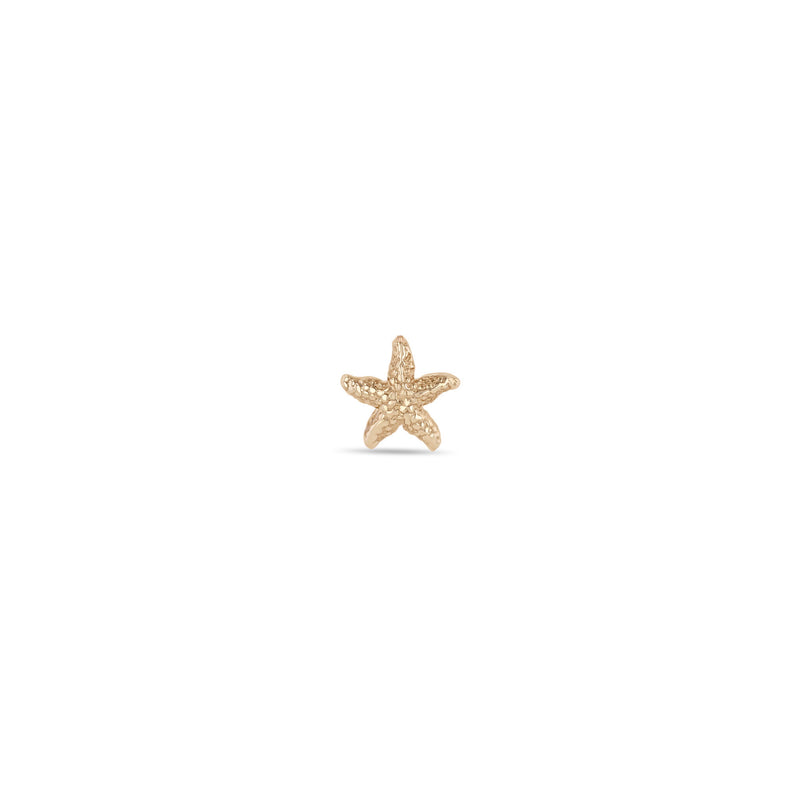 Single Zoë Chicco 14k Gold Starfish Stud Earring