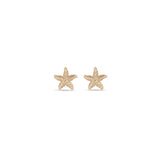 Zoë Chicco 14k Gold Starfish Stud Earrings