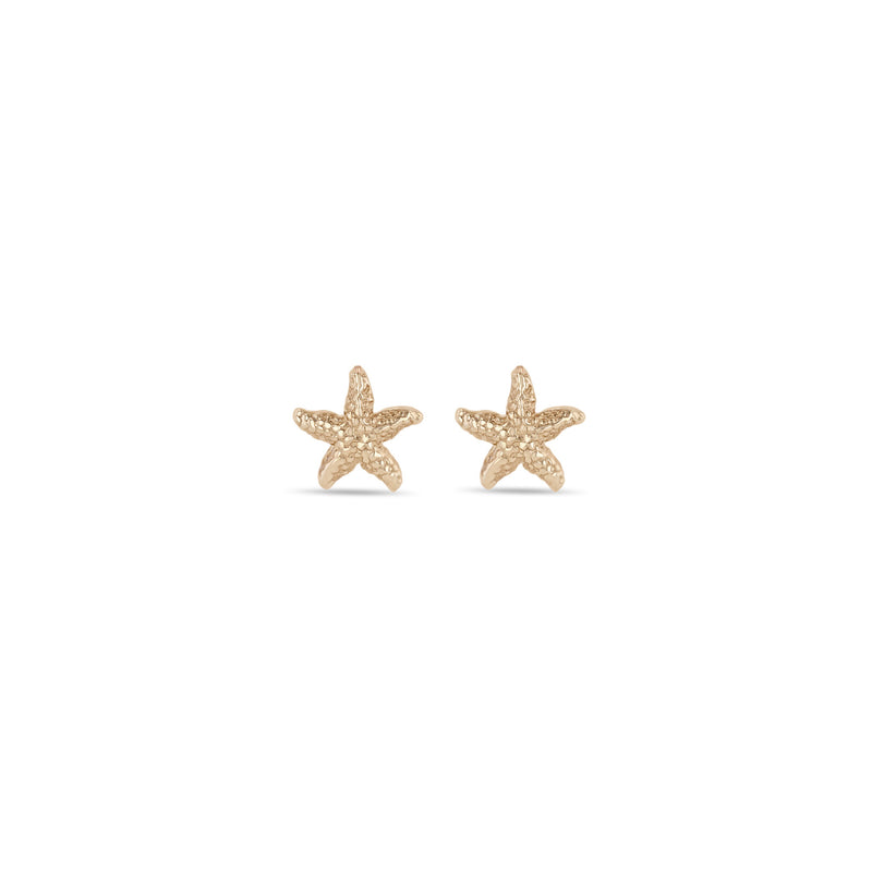 Zoë Chicco 14k Gold Starfish Stud Earrings