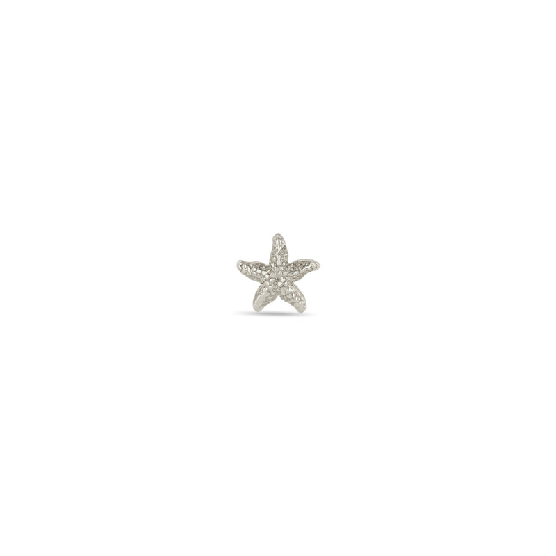 Single Zoë Chicco 14k Gold Starfish Stud Earring