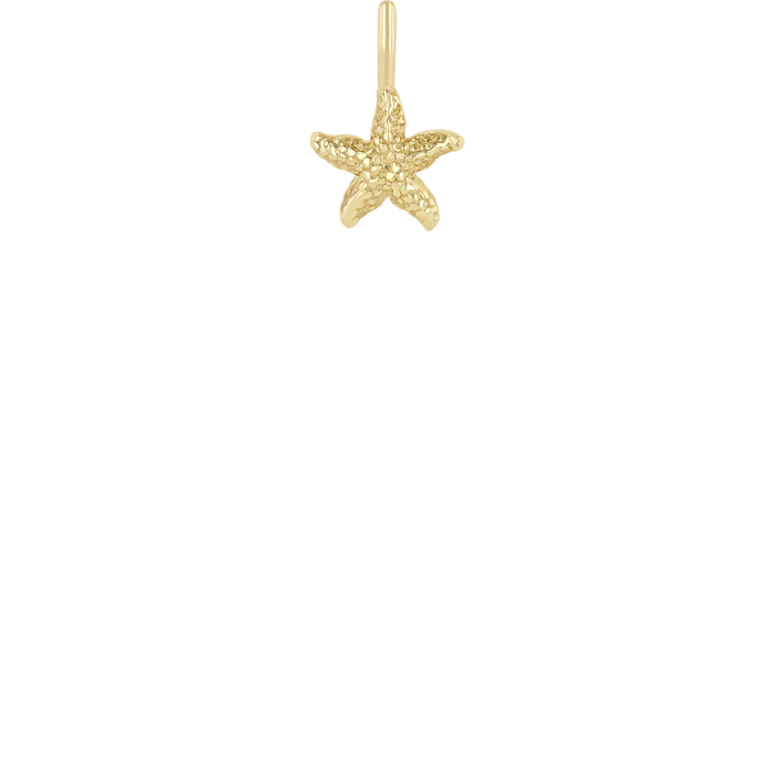 Zoë Chicco 14k Yellow Gold Starfish Charm Pendant