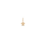 Zoë Chicco 14k Gold Midi Bitty Turtle Spring Ring Charm Pendant