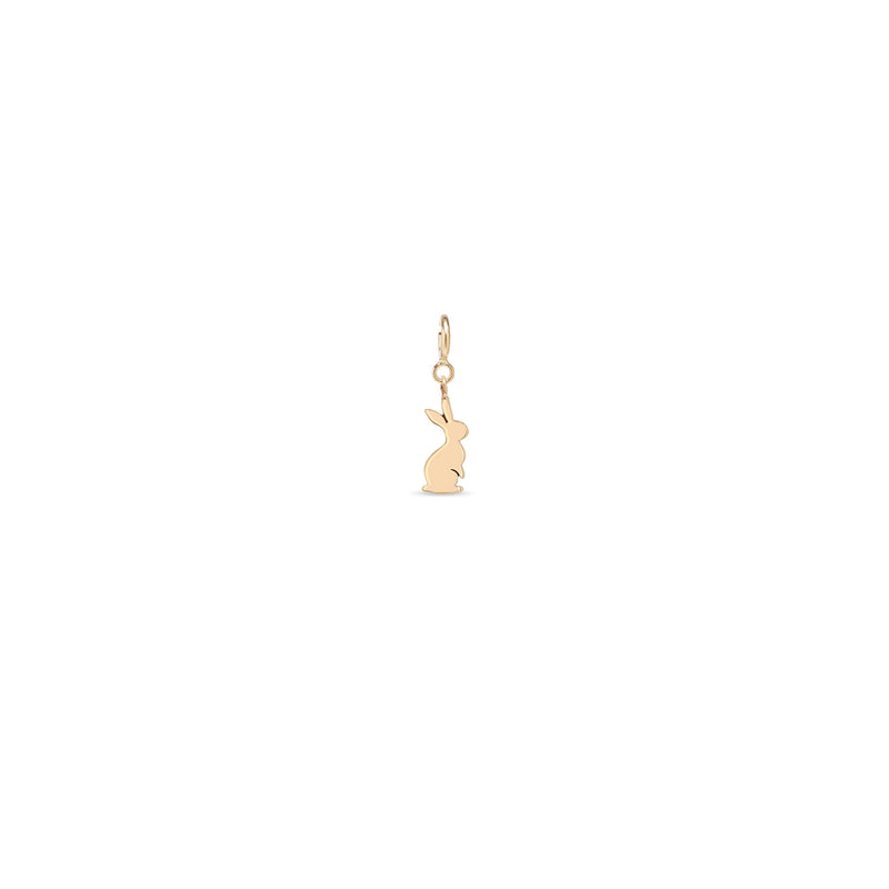 Zoë Chicco 14k Gold Midi Bitty Bunny Spring Ring Charm Pendant