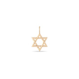 Zoë Chicco 14k Gold Medium Star of David Charm Pendant