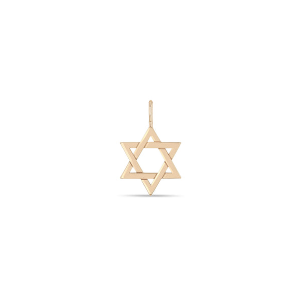 Zoë Chicco 14k Gold Medium Star of David Charm Pendant