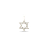 Zoë Chicco 14k Gold Medium Star of David Charm Pendant