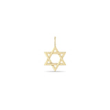 Zoë Chicco 14k Gold Medium Star of David Charm Pendant