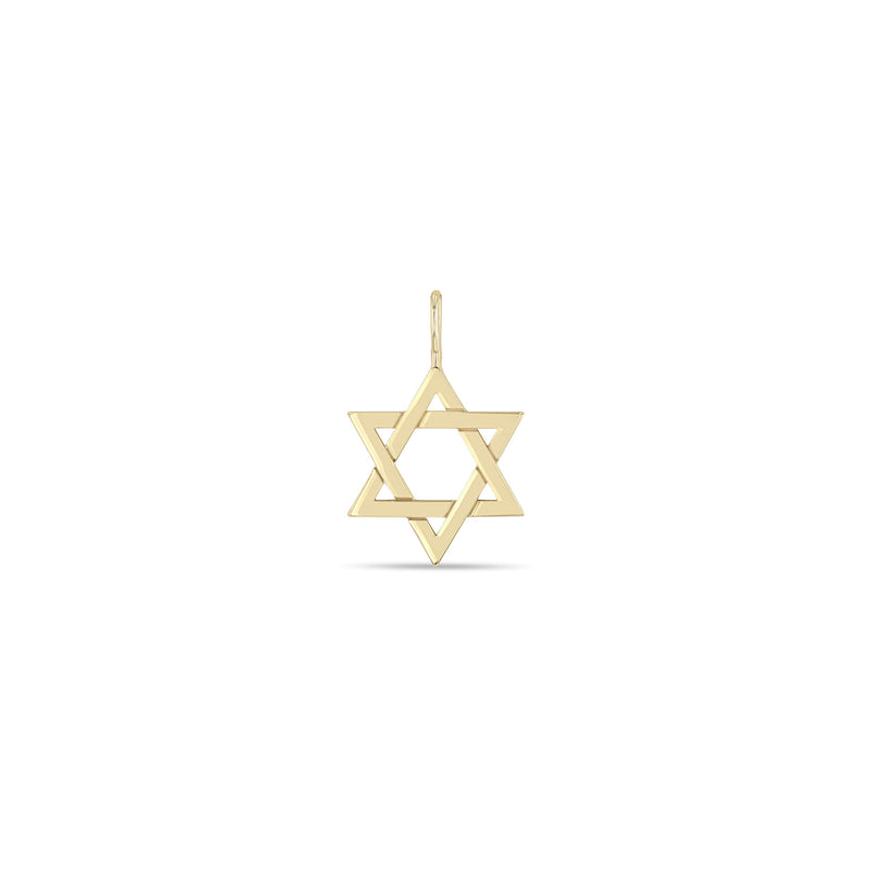 Zoë Chicco 14k Gold Medium Star of David Charm Pendant