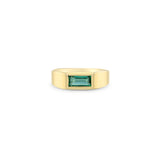 Zoë Chicco 14k Gold One of a Kind Emerald Baguette Signet Ring