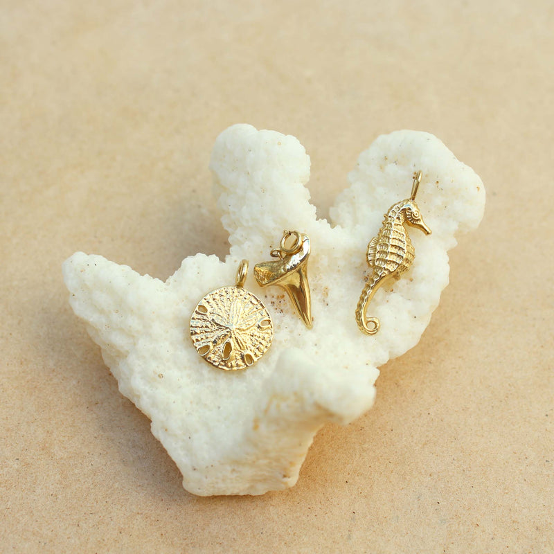 a Zoë Chicco 14k Gold Shark Tooth Charm Pendant and a Sand  Dollar Charm Pendant and a Seahorse Charm Pendant sitting on a piece of white coral on a sandy background