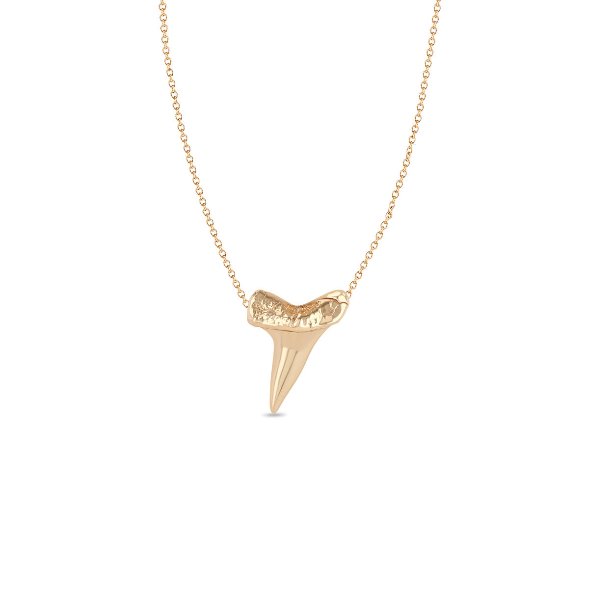 Zoe Chicco 14k Shark Tooth Necklace