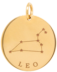 14k gold constellation & zodiac medium disc charm
