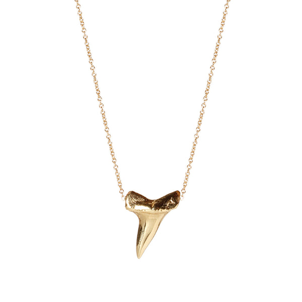 14k Yellow Gold Pendent, fashion Shark Tooth Charm, 1.1