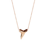 14k Shark Tooth Necklace