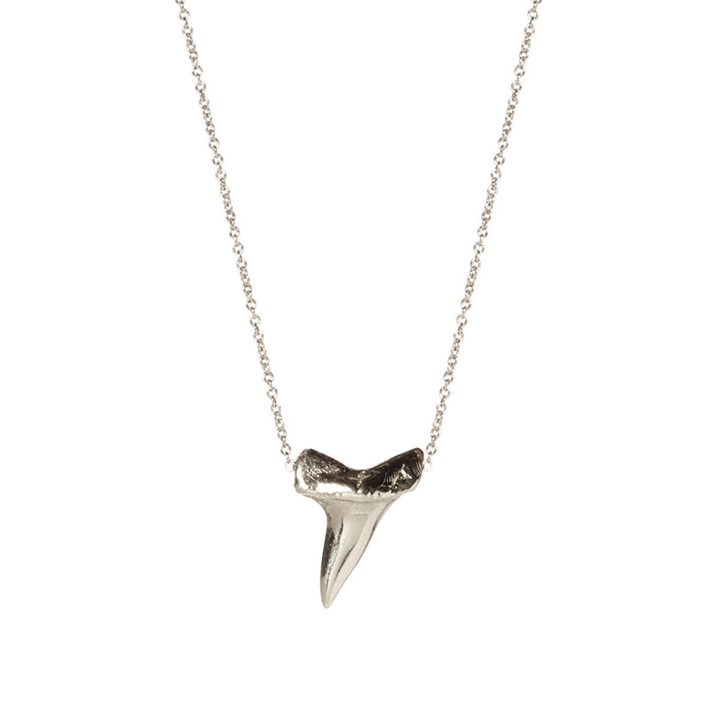 GemShark Shark Tooth Necklace for Boys Girls Silver India | Ubuy