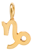 14k Midi Bitty Zodiac Charm Pendant