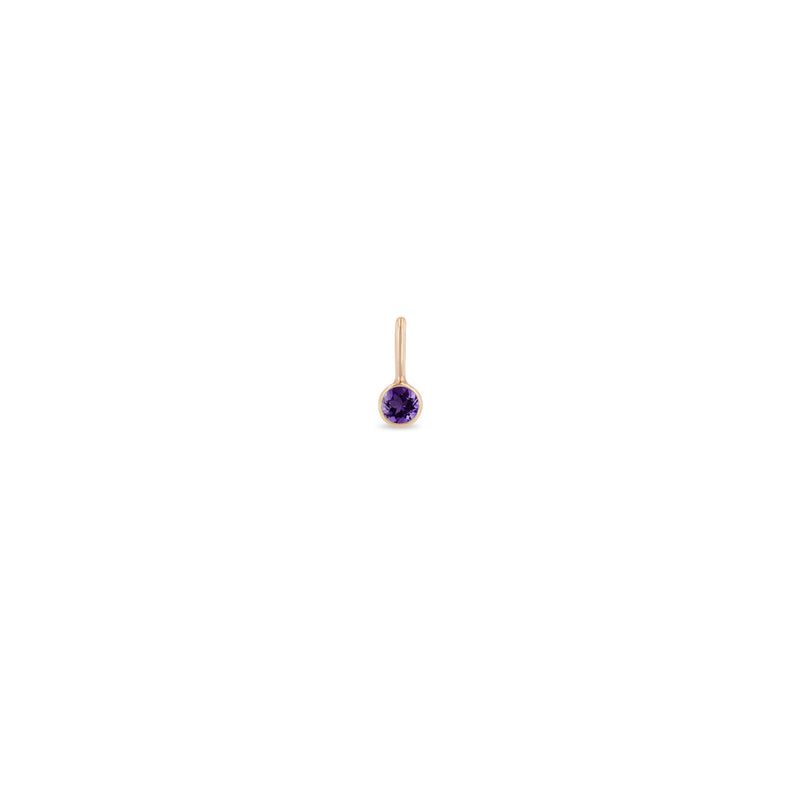 Zoë Chicco 14k Gold Amethyst Charm Pendant