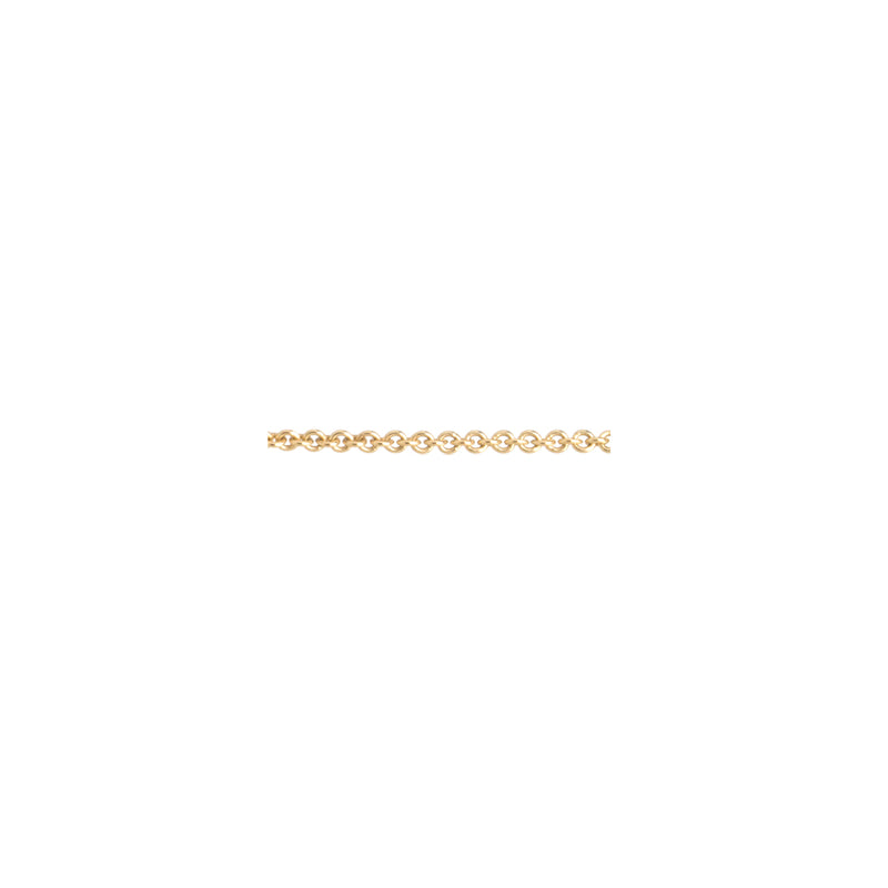 Zoë Chicco 14kt Gold 1" Additional Cable Chain