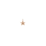 14k Single Starfish Charm