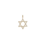 Zoë Chicco 14k Gold Single Diamond Bezel Star of David Charm Pendant with Spring Ring