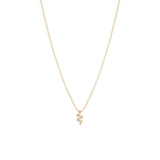 Zoe Chicco 14k yellow gold snake charm necklace