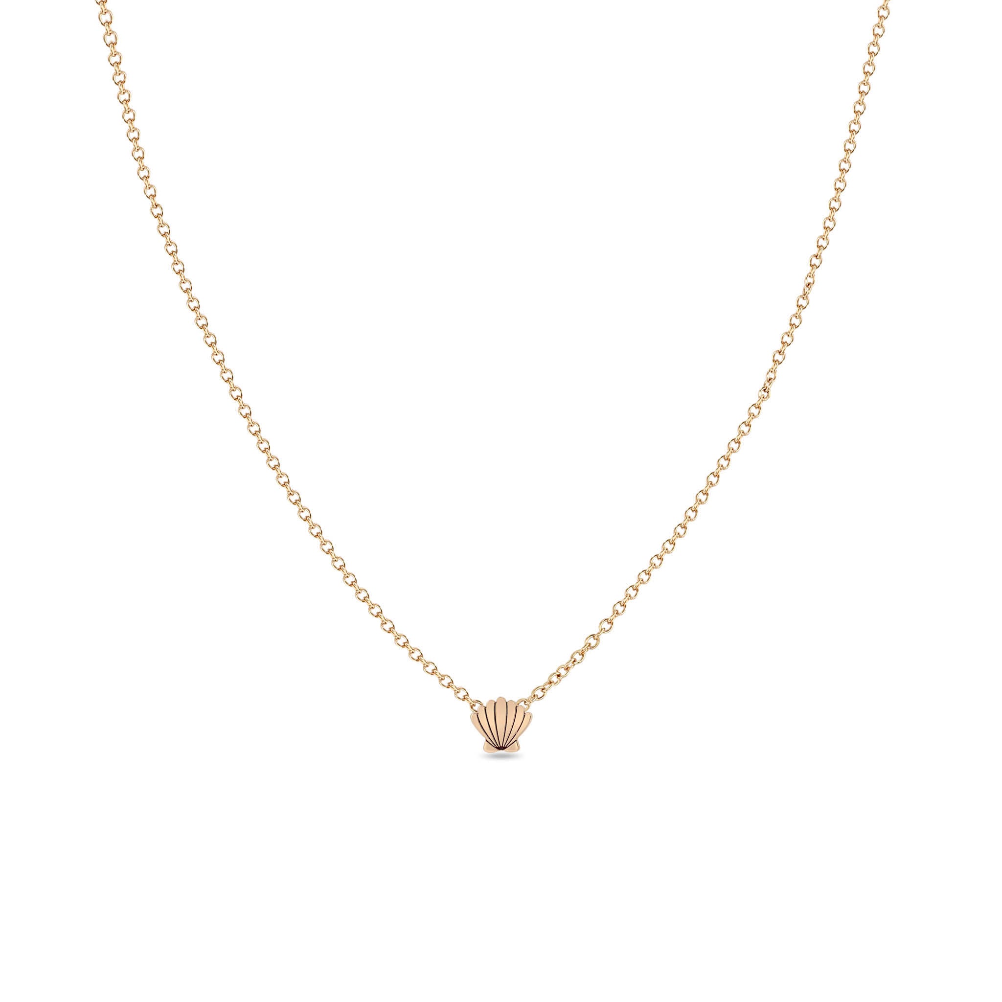 Zoë Chicco 14k Gold Itty Bitty Seashell Necklace