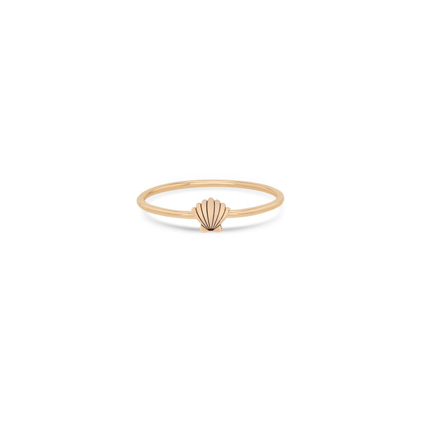 Zoë Chicco 14k Gold Itty Bitty Seashell Ring