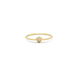 Zoë Chicco 14k Gold Itty Bitty Seashell Ring