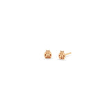 Zoë Chicco 14k Gold Itty Bitty Ladybug Stud Earrings