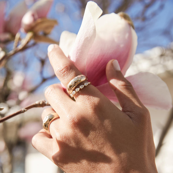 woman's hand holding a pink flower wearing a Zoë Chicco 14k Gold 5 Pear Diamond Band Ring and a 14k Scattered Star Set Diamonds Small Aura Ring stacked together on her index finger