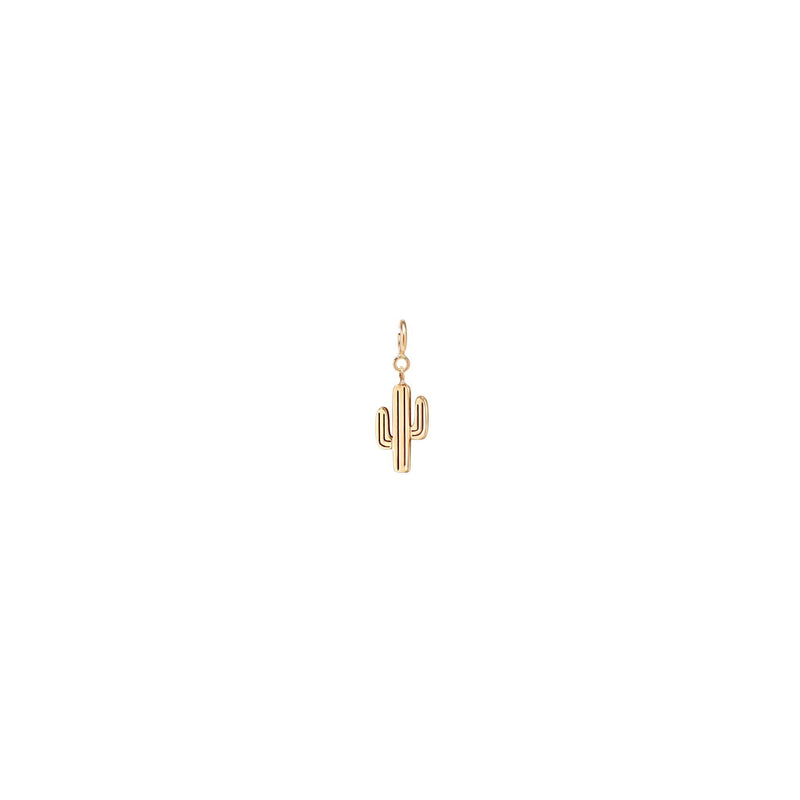 Zoë Chicco 14k Gold Midi Bitty Cactus Charm Pendant with Spring Ring