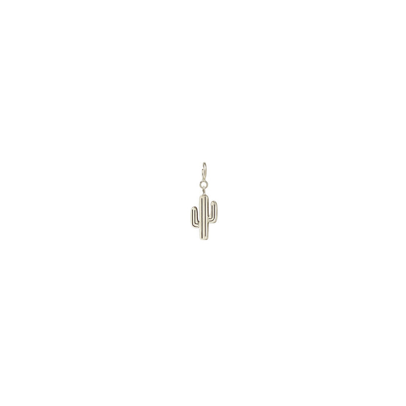 Zoë Chicco 14k Gold Midi Bitty Cactus Charm Pendant with Spring Ring