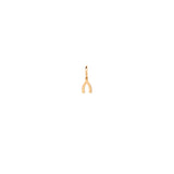 Zoë Chicco 14k Gold Midi Bitty Wishbone Charm Pendant