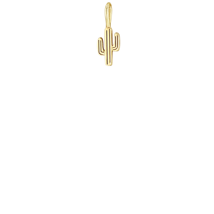 14k Midi Bitty Cactus Charm