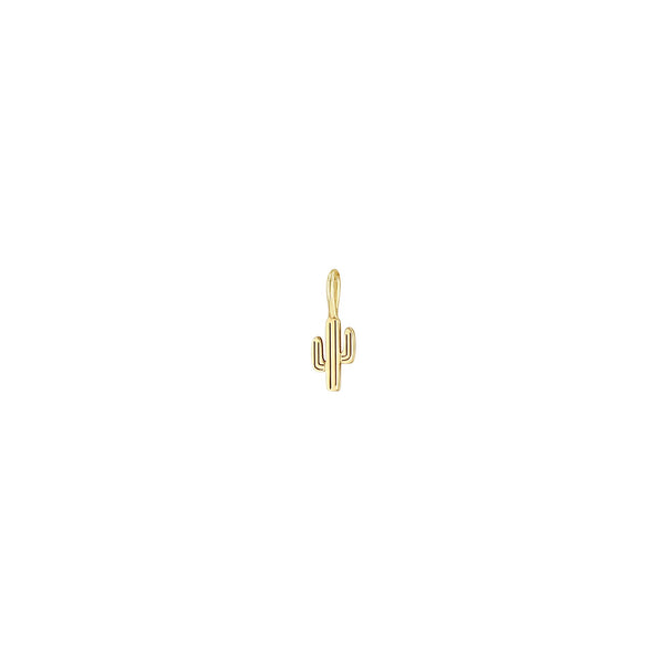 Zoë Chicco 14k Gold Midi Bitty Cactus Charm Pendant