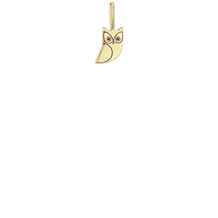 Zoë Chicco 14k Gold Midi Bitty Owl Charm Pendant
