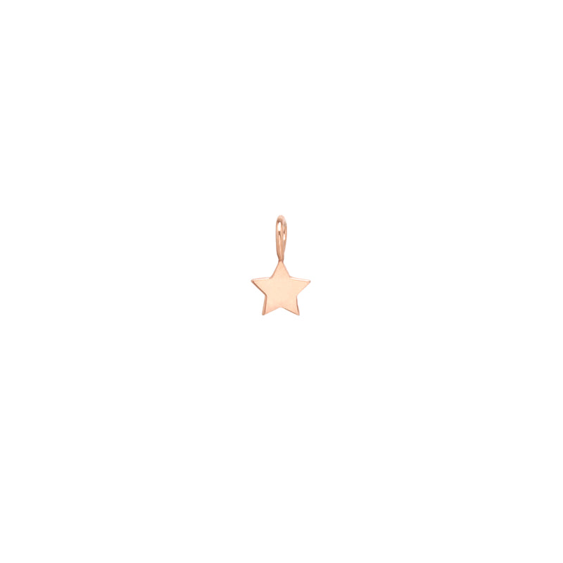 Zoë Chicco 14kt Gold Midi Bitty Star Charm Pendant