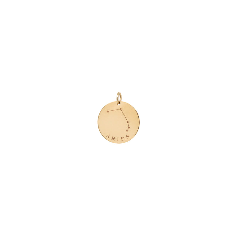 14k Gold Constellation & Zodiac Medium Disc Charm - SALE